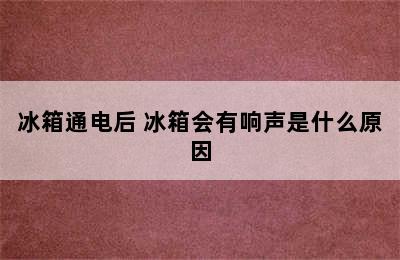 冰箱通电后 冰箱会有响声是什么原因